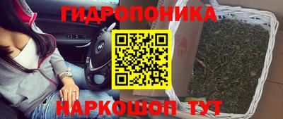 крисы Среднеуральск