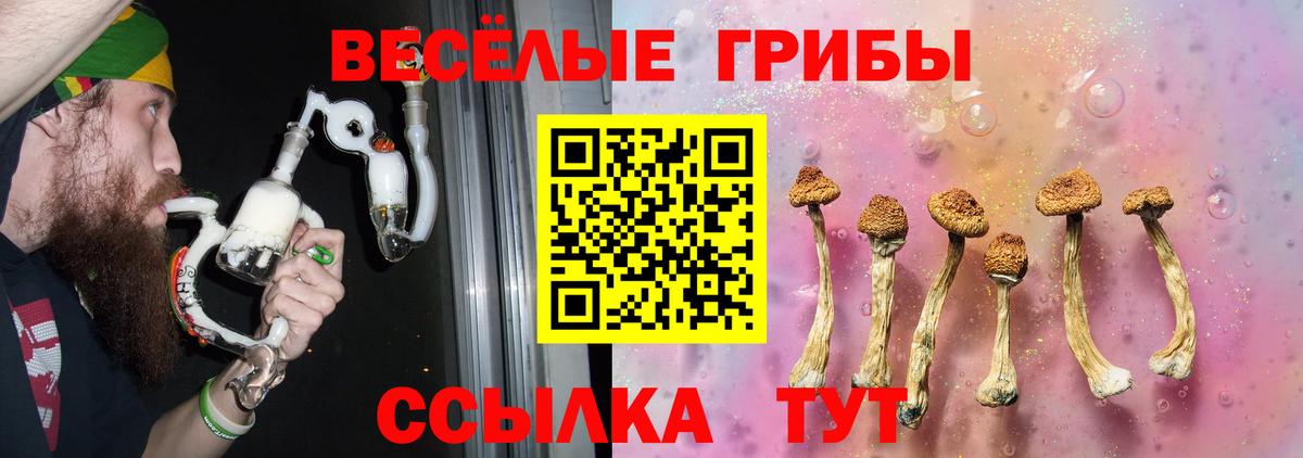 Галлюциногенные грибы мицелий Менделеевск