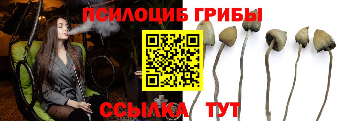 Псилоцибиновые грибы MAGIC MUSHROOMS  наркотики  Менделеевск  Вход с VPN 